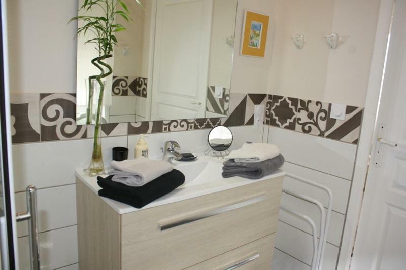 La Pecherie Bed & Breakfast Selles-sur-Cher Exterior photo